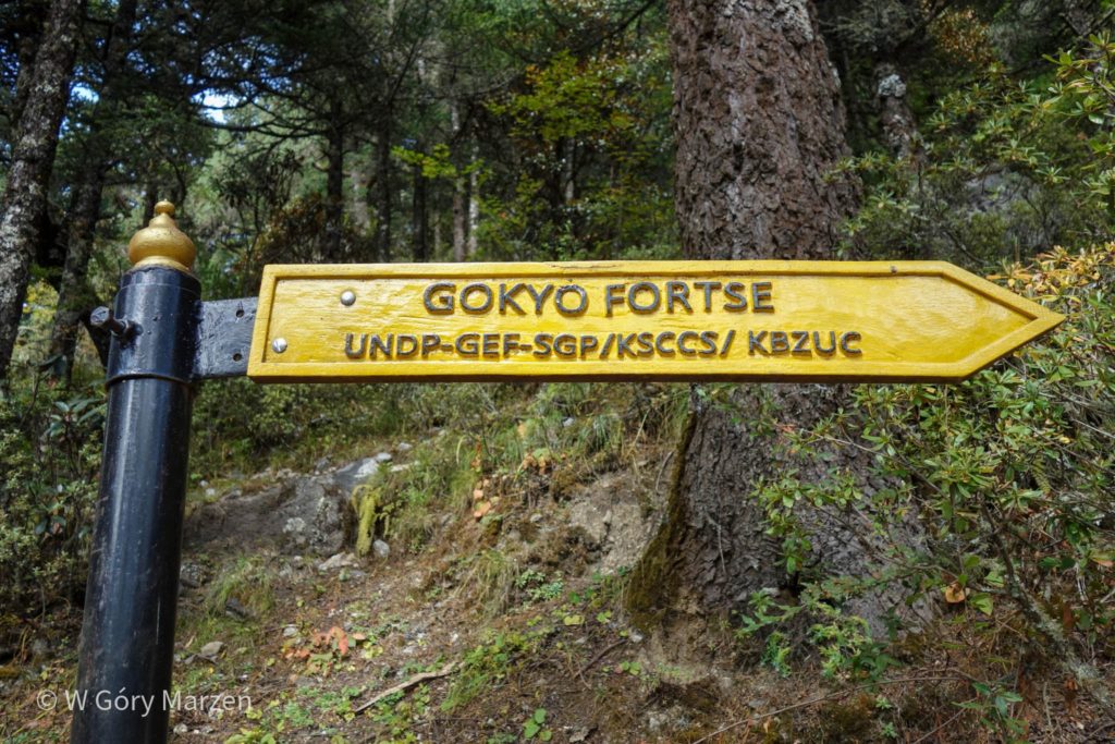 Trekking to Everest Base Camp - Fork on Gokyo Ri
