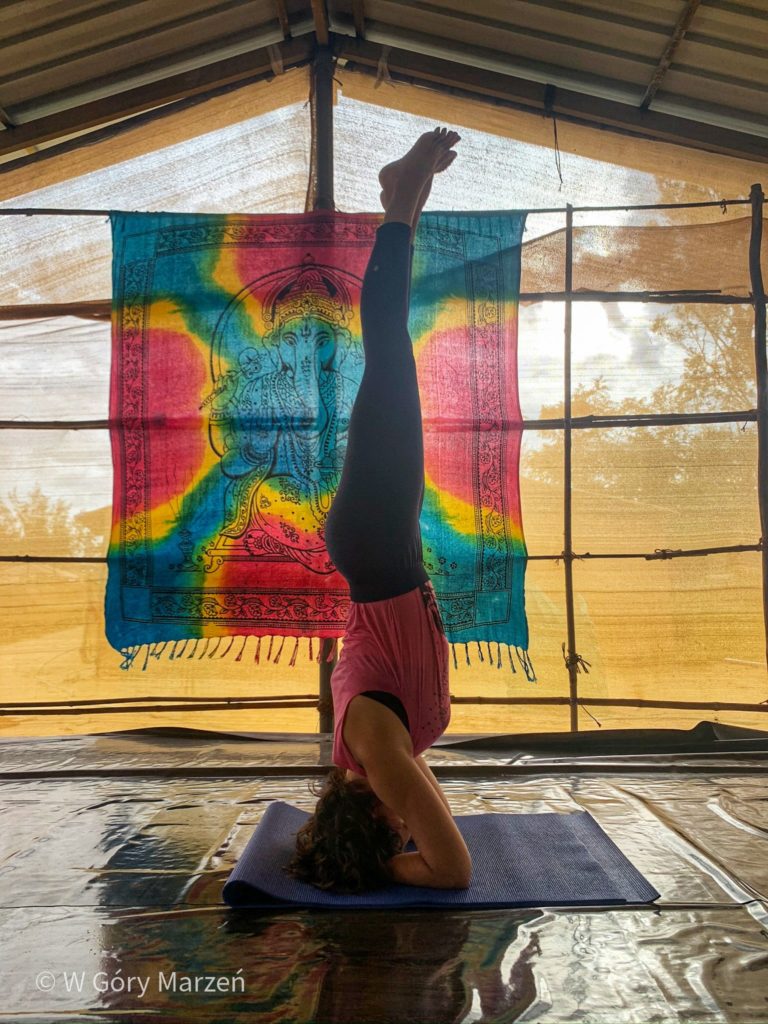 Yoga en Goa